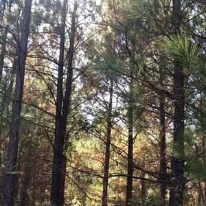 Meet your Posher, Molly